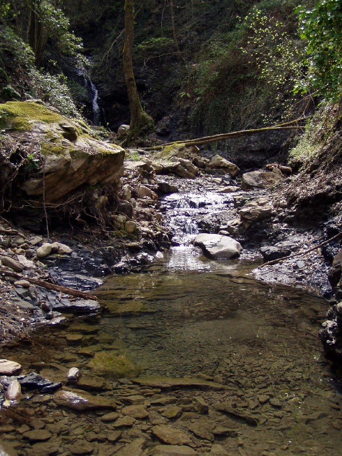 Valle del Farma e Stagno della Troscia: luoghi meravigliosi!